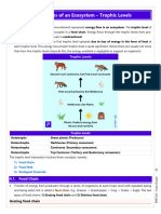 Functions of An Ecosystem - Trophic Levels: Trophe