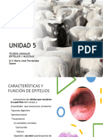 UNIDAD 5.ppt Epitelios 2023