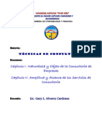 Naturaleza y Objetivo de La Consultoria Temas I y Ii - 2024