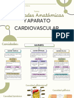 Diapositivas Anatomia Pract1 Liss