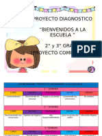 Proyecto Diagnostico 2 y 3 Grado 2024