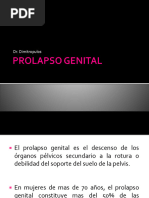 4 - Prolapso genital-IOE Nuevo