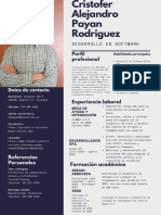 Perfil Profesional: Desarrollo en Software