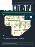 Ebook Pinagem ECUECM