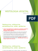 Histologia Vegetal