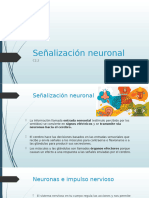 Señalizacion Neuronal