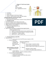 A&P Chapter 12 Notes