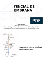 02 - Potencial de Ação 1