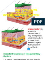 Sci6q2w2-Parts and Functions of Integumentary System