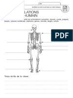 TE-Les_articulations_du_corps_humain