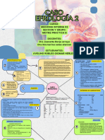 Brainstorming Esquema Doodle Multicolor