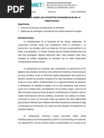 Informe Sobre Los Conceptos Fundamentales de La Hematología