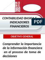 Contabilidad Basica e Indicadores