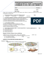 Epreuve Seq 1 P D 2023