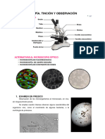 UT3. Microscopia. Tinción y Observación.