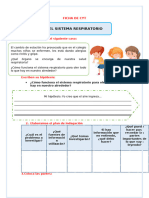 Ficha Cyt Mart 14 Sistema Respiratorio