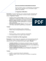 Métodos de Evaluación de Toxicidad en Suelos