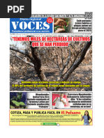 Diario Digital Jueves 19 de Setiembre 2024