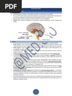 Neuro Ebook