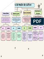 Gráfica Mapa Conceptual Simple Colorido