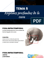 TEma 5.pdf - 20241023 - 091741 - 0000