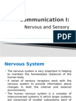 Nervous System