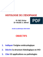 Système digestif - Oesophage 2