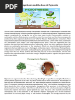 Photosynthesis and The Role of Pigments