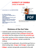 Development of The Digestive System