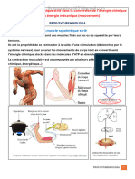 Cours muscle squelettique