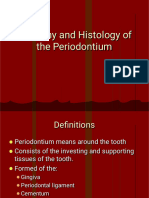 Anatomy and Histology of The Periodontium