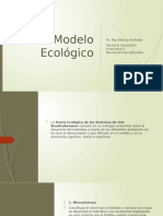 Modelo Ecológico