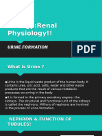 Biology:Renal Physiology!!: Urine Formation