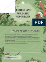 Forest and Wilfie Ppt