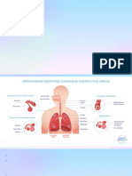 La Pathologie Medicale Ispits -Seances 3+4