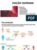 Reprodução