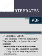 INVERTEBRATES