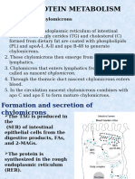 3. Lipo Protein Met