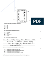 Kami Export - Omar El Hosary - Yr-11-Term-1-Practice Questions