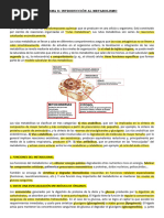 Tema 8 Metabolismo