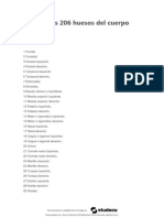 Lista de Los 206 Huesos Del Cuerpo Humno Adulto