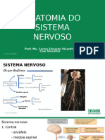 Aula 6 - Anatomia Do Sistema Nervoso-1