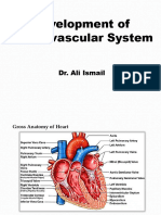 Development of Cardiovascular System: Dr. Ali Ismail