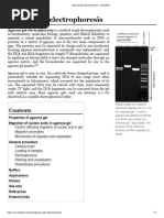 Agarose Gel Electrophoresis