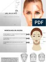 Clase 3 Morfología Del Rostro, Facechat, Visajismo de Ceja