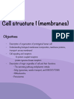 Cell Structure Part 1