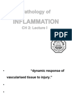 CH 2 - Inflammation I