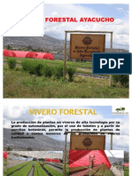 Vivero Forestal