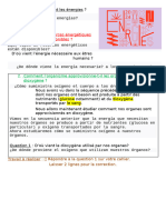 C-II-2 Respiration 2024 DOCUMENTO PARA ESTUDIAR