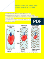 CELL MEMBRANE